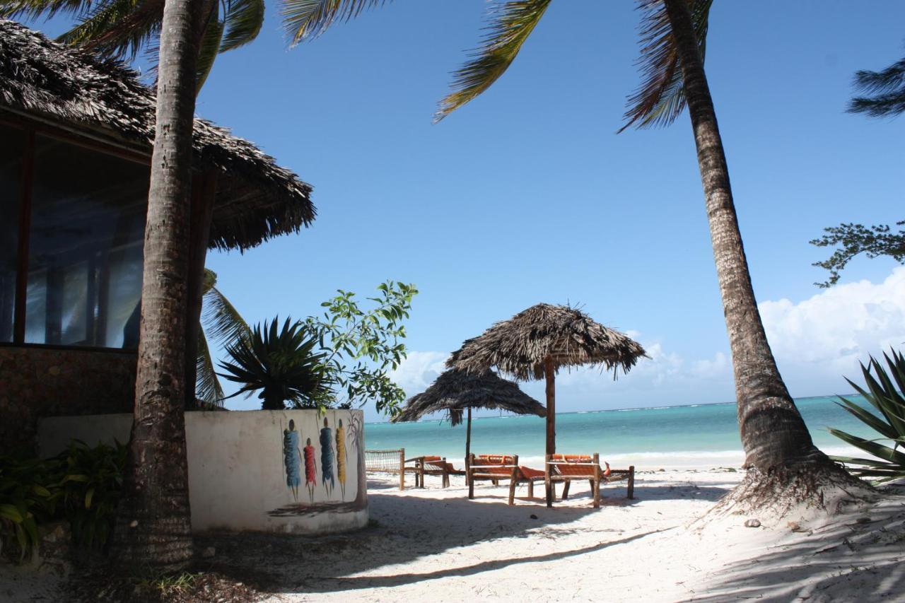 White Beach Hotel Zanzibar Paje Exteriér fotografie